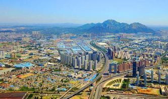 大连市金浦新区是哪个区