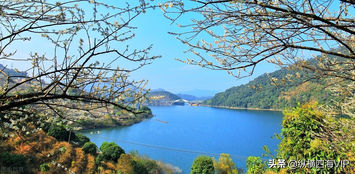 广州市流溪河是什么