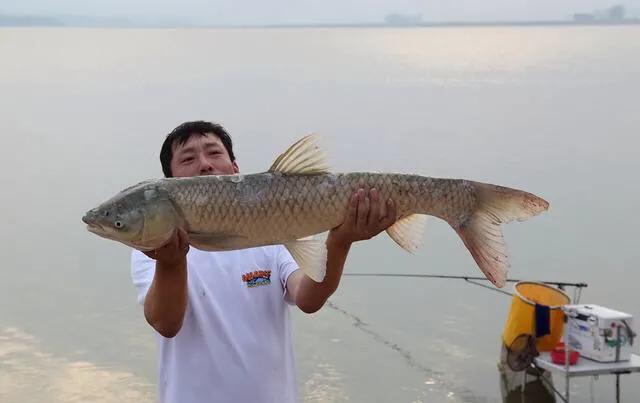 广州名片制作公司,怎么写广州名片?