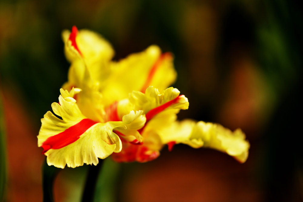 照相机品牌照相机品牌排行榜前十名