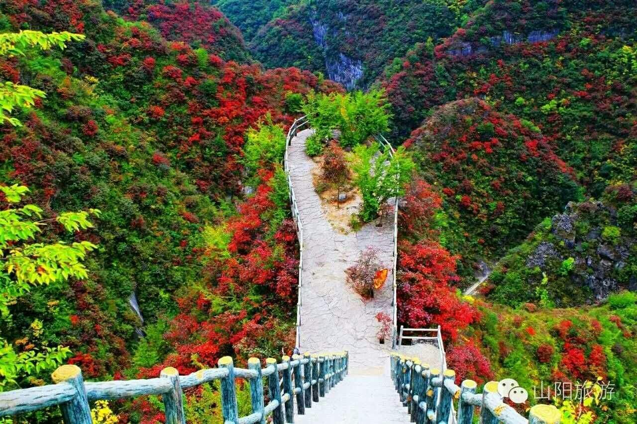 西安市秦岭山都有什么