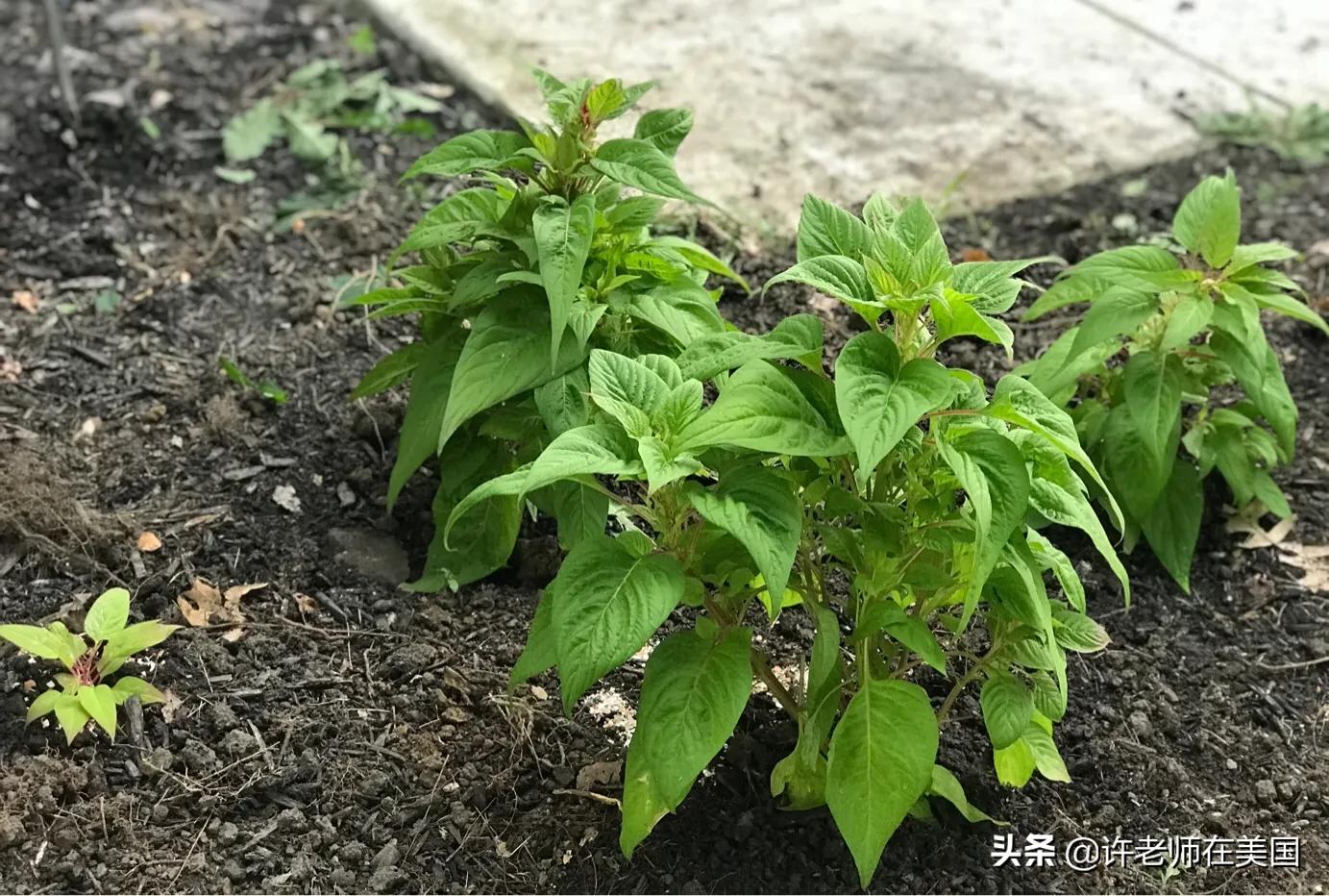 境外去海外生活好吗，境外去海外生活好吗现在
