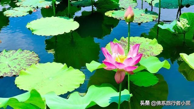 苏州市哪个公园最好看的