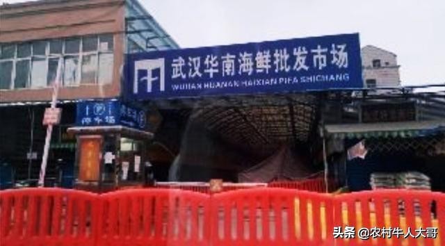 武汉搭建网站教程咨询
