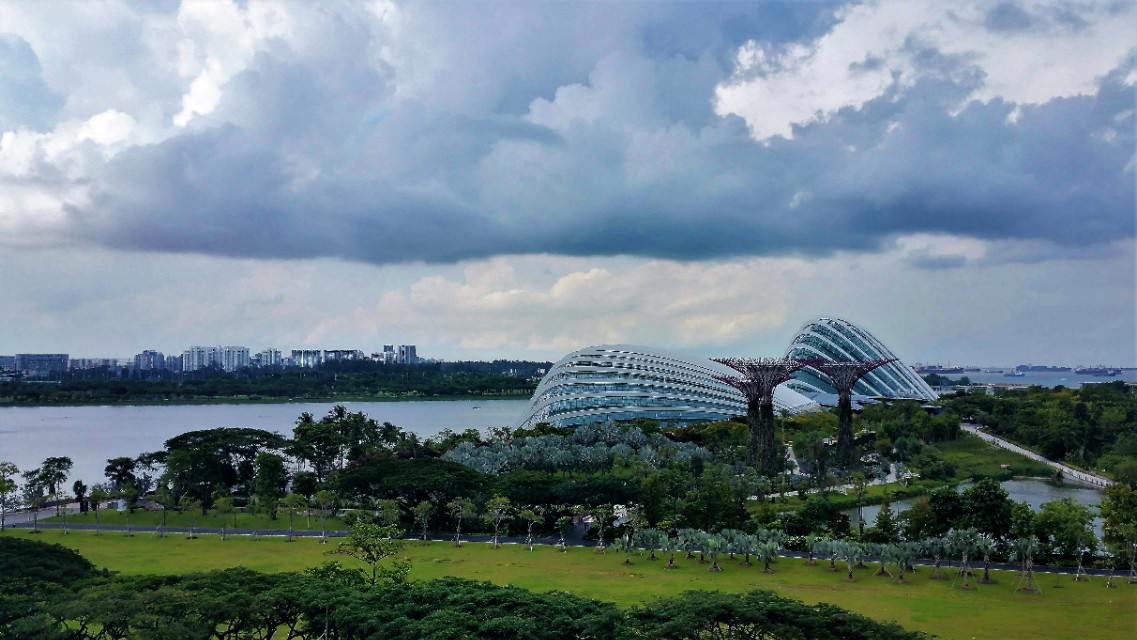 海外生活风景线，海外的风景