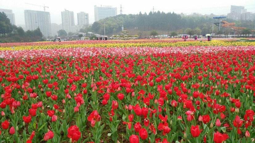 长沙市有什么旅游点