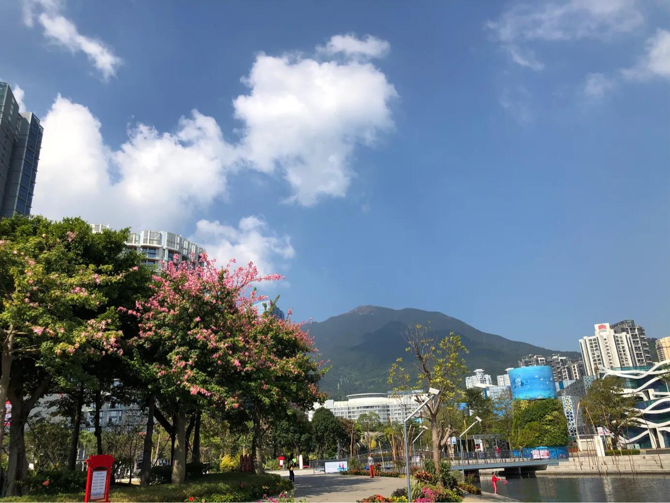 坐网约车去深圳北站哪里下车最方便？