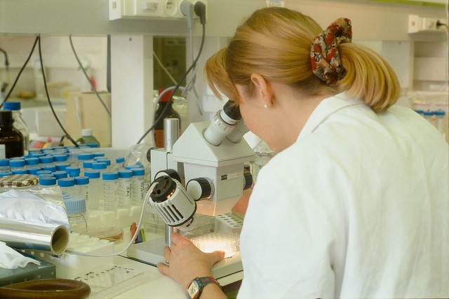 h1vh1v是艾滋病吗 h1vh1v是艾滋病吗