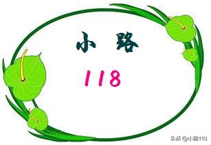 王牌家族没沈腾贾玲王牌家族表白贾玲