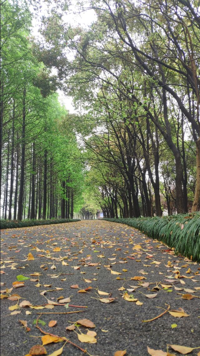 上海野餐基地有哪些名字 上海野餐基地有哪些名字