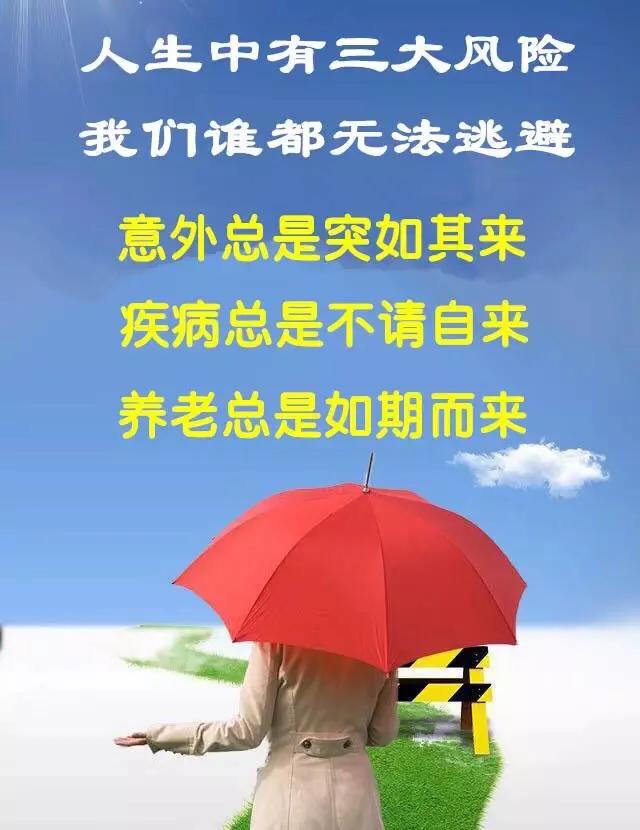 个人保险，个人保险查询