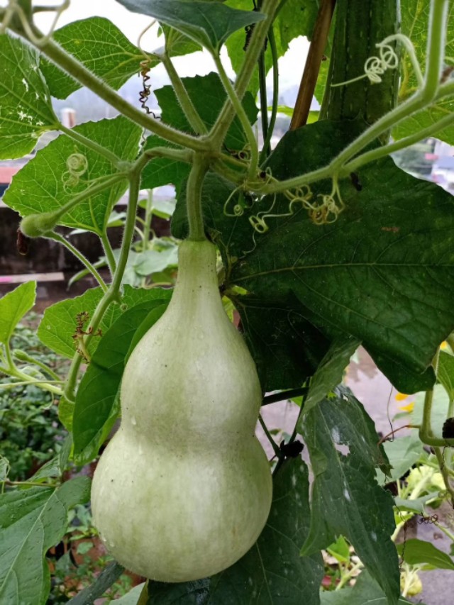声乐教程化妆技巧视频
