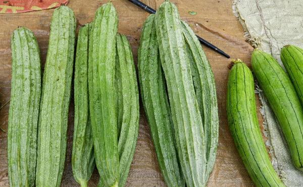 广州市早上吃什么 广州市早上吃什么