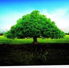 [死的方法]死忌要如何拜祭？