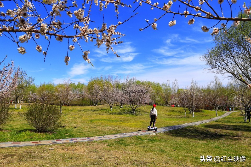 早上江边风景发朋友圈的句子？：江边风景图片