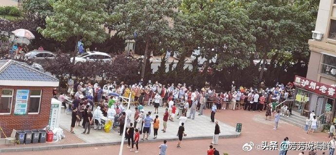 大连市外都有什么区