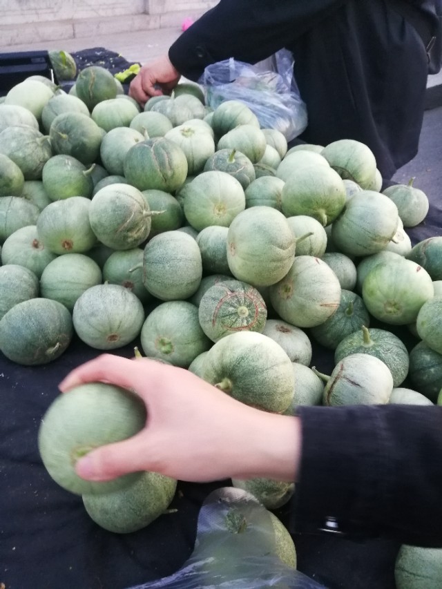 疫情下的海外生活，疫情下的海外生活现状