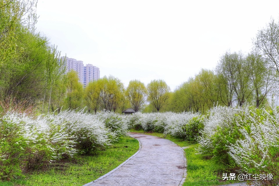 早上江边风景发朋友圈的句子?:江边风景图片 早上江边风景发朋友圈的句子?:江边风景图片