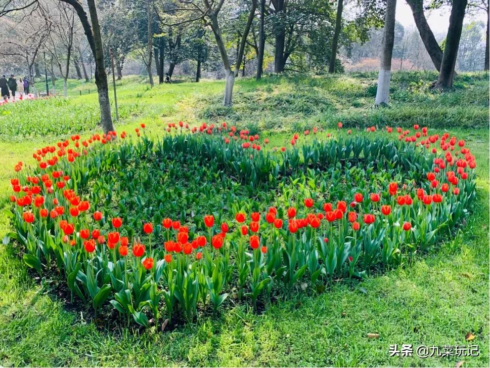 杭州的太子湾公园好玩吗？是否值得周末去玩？