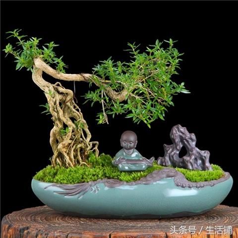展台搭建网站设计教程视频