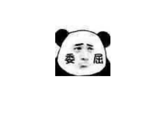 专业搭建网站服务商