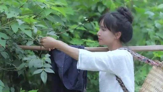 海外生活类粉丝排行，海外生活类粉丝排行榜前十名