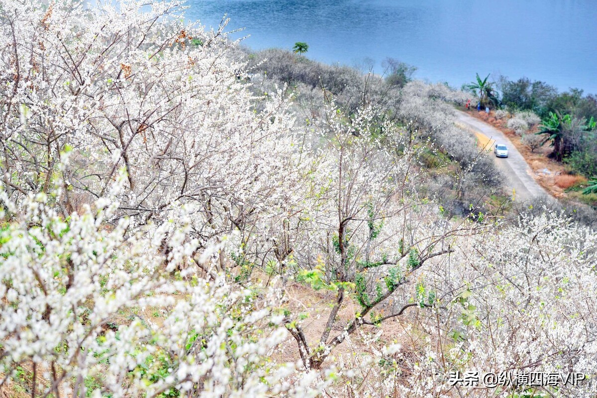广州市流溪河是什么