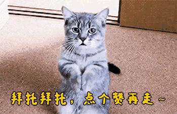 郑州海外生活环境，郑州海外生活环境怎么样