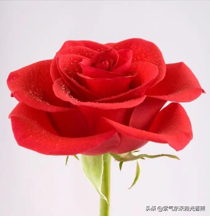 福利吧论坛福利吧论坛fl 福利吧论坛福利吧论坛fl