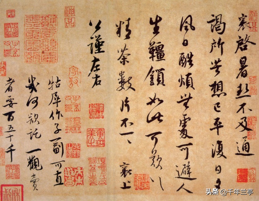 新草书字体教程字帖大全
