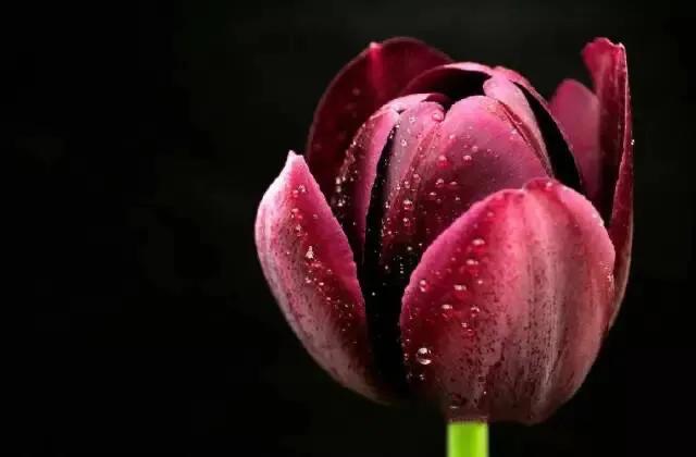 [黑色壁纸全黑]电脑屏幕总是自动变成黑色背景？