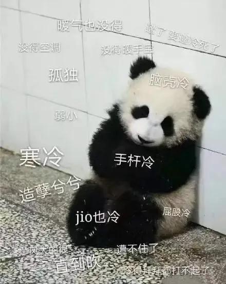 厦门市辅警定级工资多少