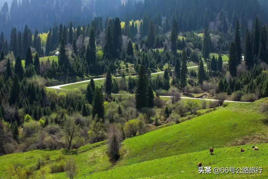 租车app开发计划