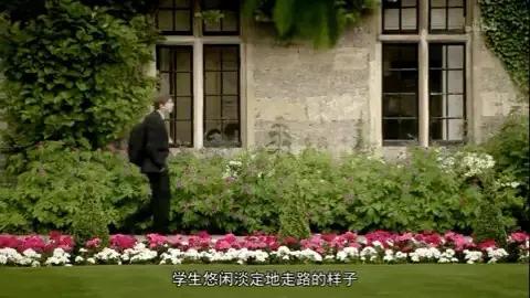 没在海外生活的人，没在海外生活的人叫什么