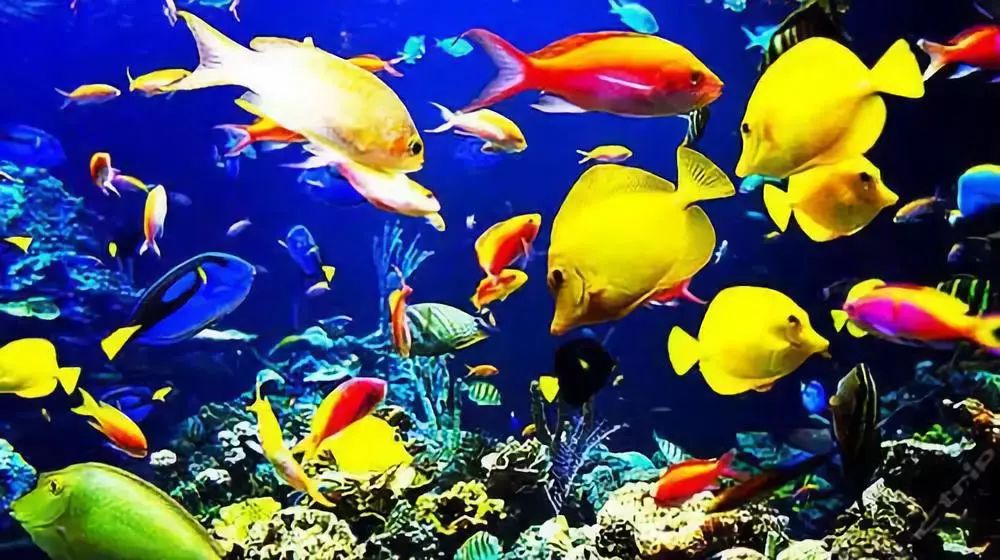海外生活拍摄现场图片大全，海外生活拍摄现场图片大全集