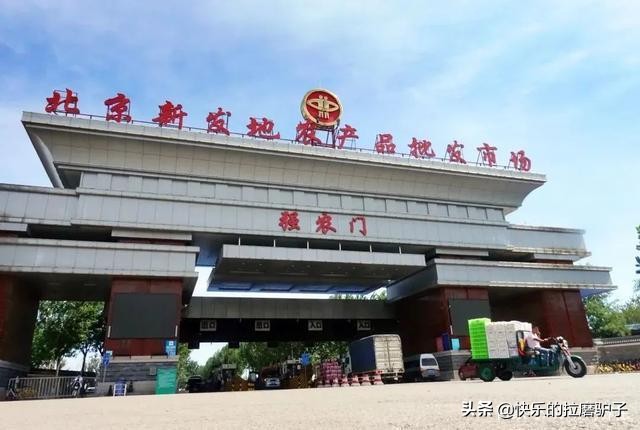 36岁如何去海外生活工作，36岁如何去海外生活工作呢