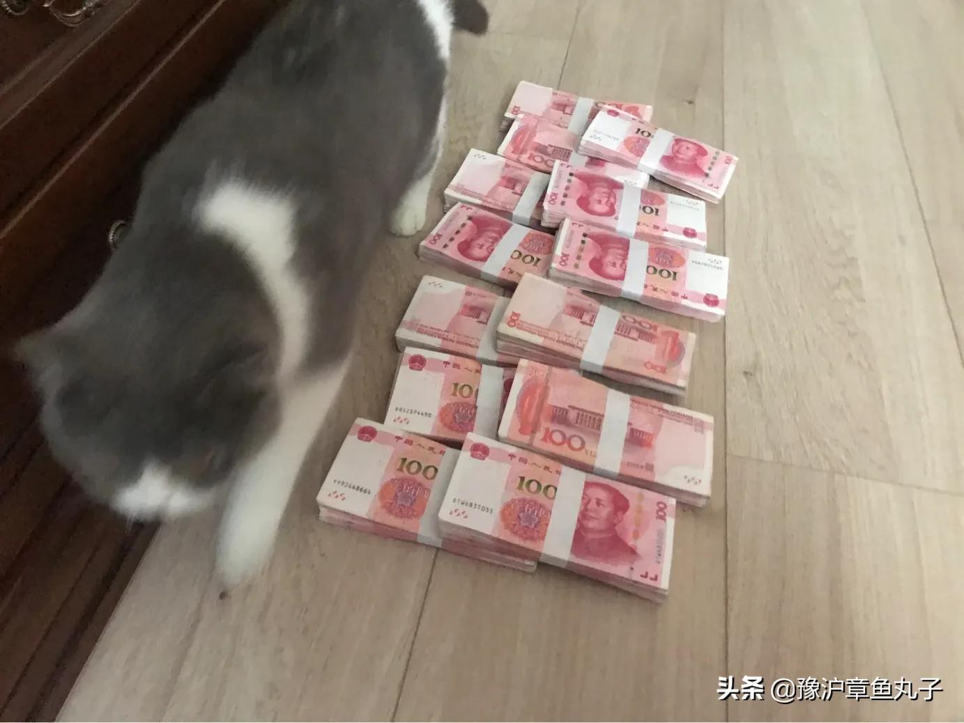 微信怎么赚钱(利用微信赚钱的方法?) 微信怎么赚钱(利用微信赚钱的方法?)