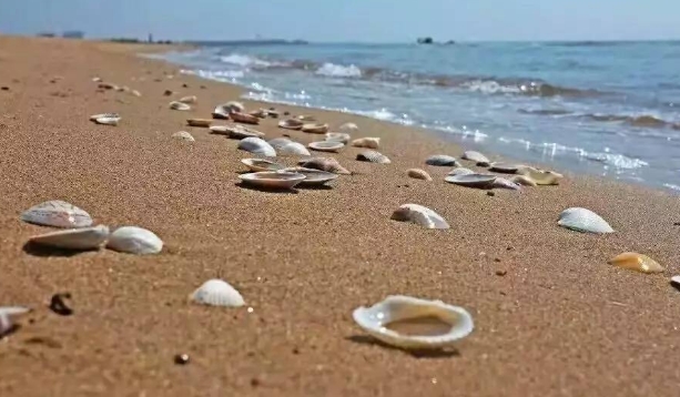 厦门市哪里赶海比较好 厦门市哪里赶海比较好