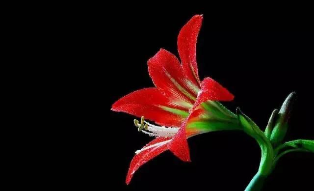 [黑色壁纸全黑]电脑屏幕总是自动变成黑色背景？