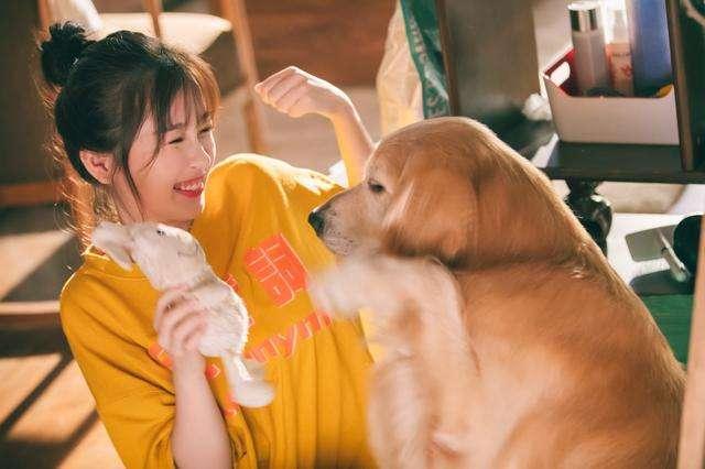 虞书欣解约华策虞书欣解约华策了吗