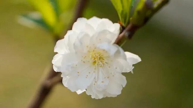 索尼6400(索尼a6400什么时候上市的?) 索尼6400(索尼a6400什么时候上市的?)