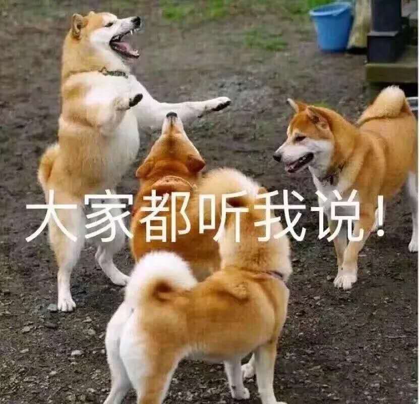 疫情期间可以开发的app