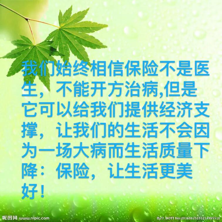 个人保险，个人保险查询