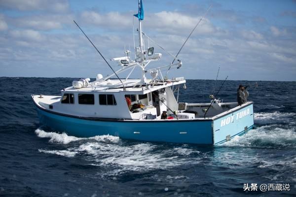在海外生活真实记录片，在海外生活真实记录片有哪些