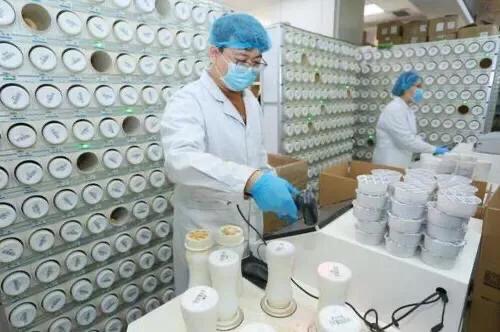 大庆到沈阳途经的主要城市和城市之间的路程？