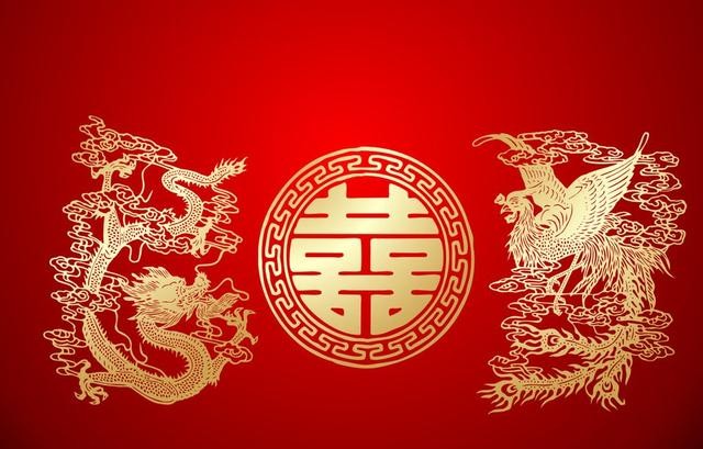 大龙的海外生活，大龙的海外生活视频