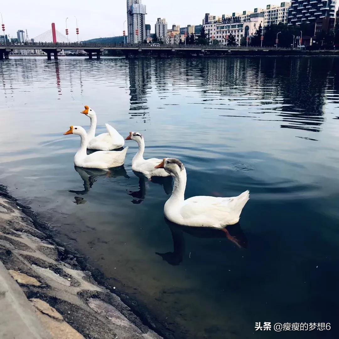 如何搭建网站小学语文