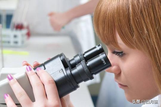 [显微镜如何使用]显微镜的使用操作步骤？