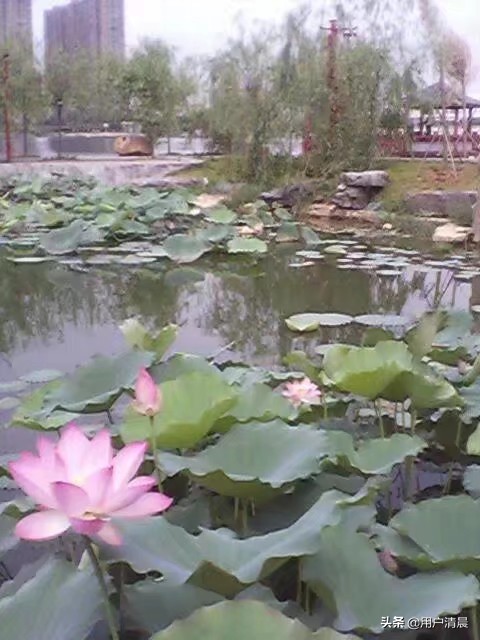 相册里的照片怎么保存?:怎么保存图片 相册里的照片怎么保存?:怎么保存图片