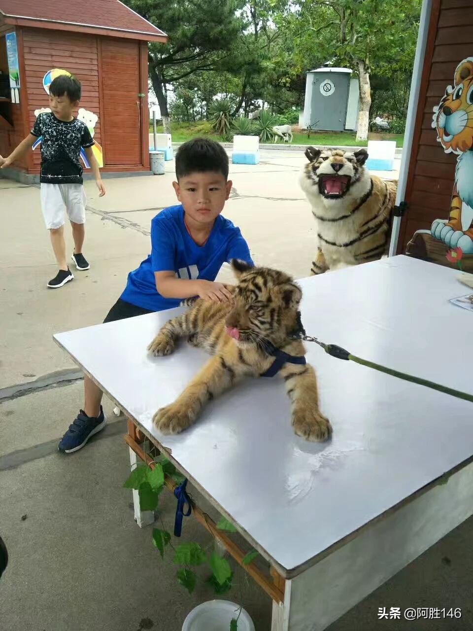 合肥市哪个地方有海 合肥市哪个地方有海